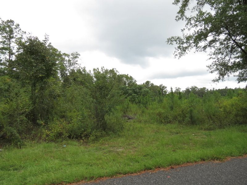 XXX Sunflower Rd, Tallahassee, FL 32305
