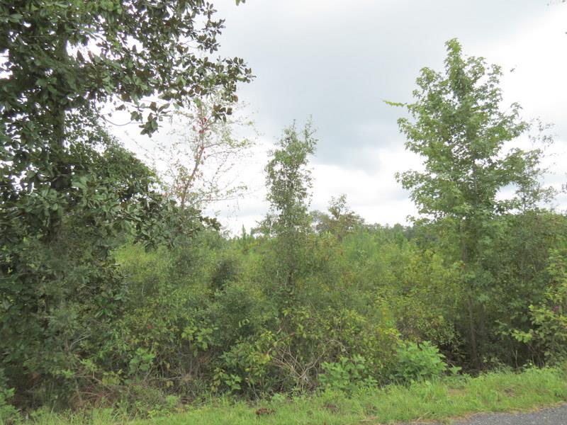 XXX Sunflower Rd, Tallahassee, FL 32305