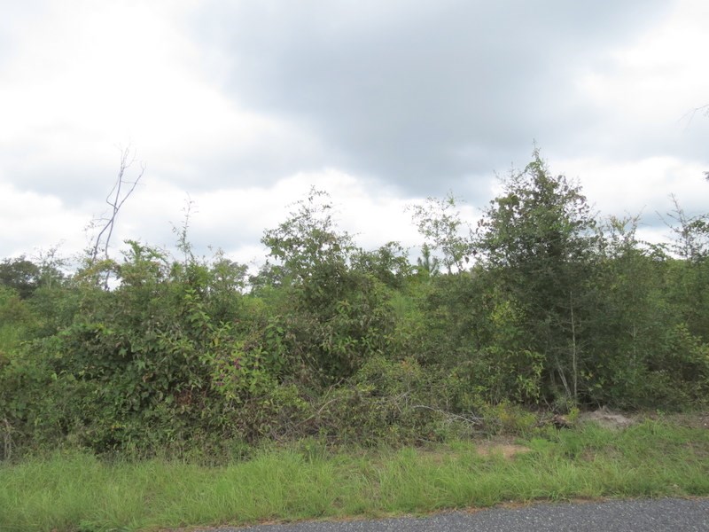 XXX Sunflower Rd, Tallahassee, FL 32305