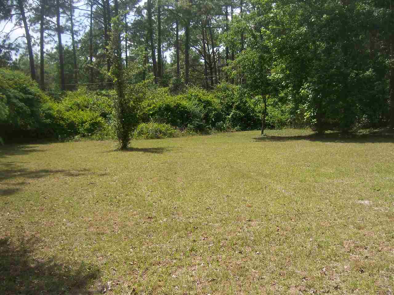 10853 Pine Tree Trail, Woodville, FL 32305
