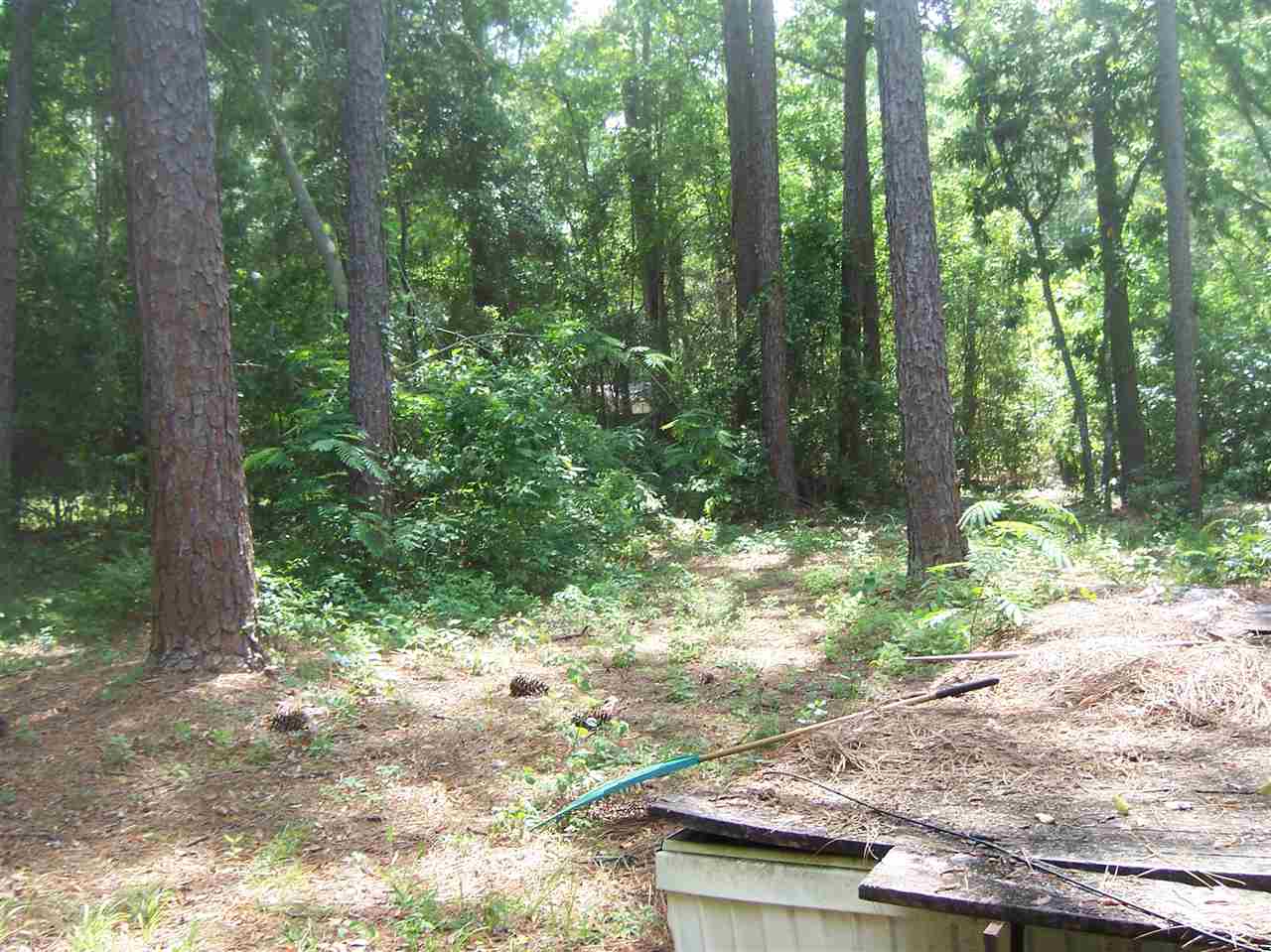 10853 Pine Tree Trail, Woodville, FL 32305
