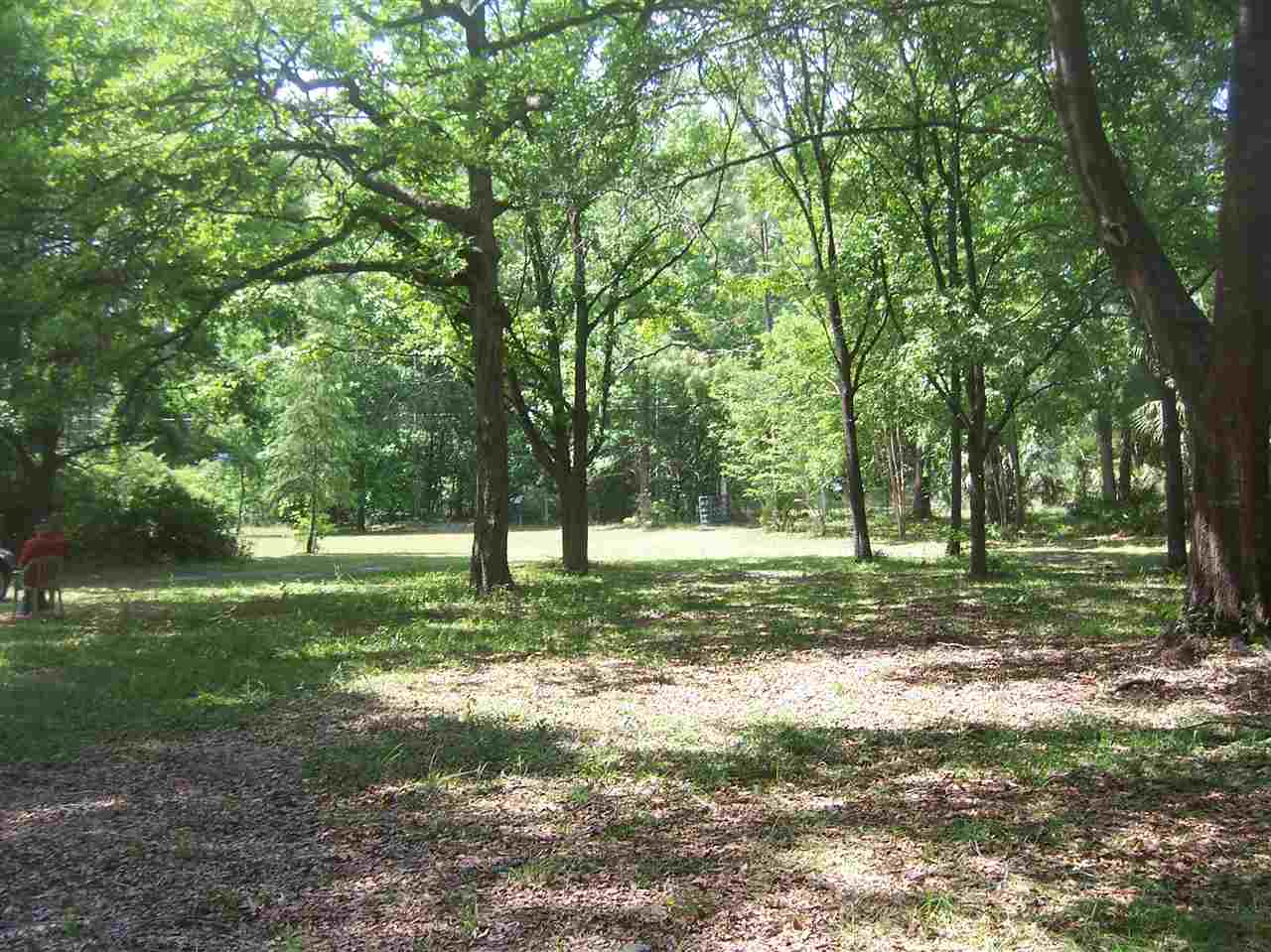 10853 Pine Tree Trail, Woodville, FL 32305