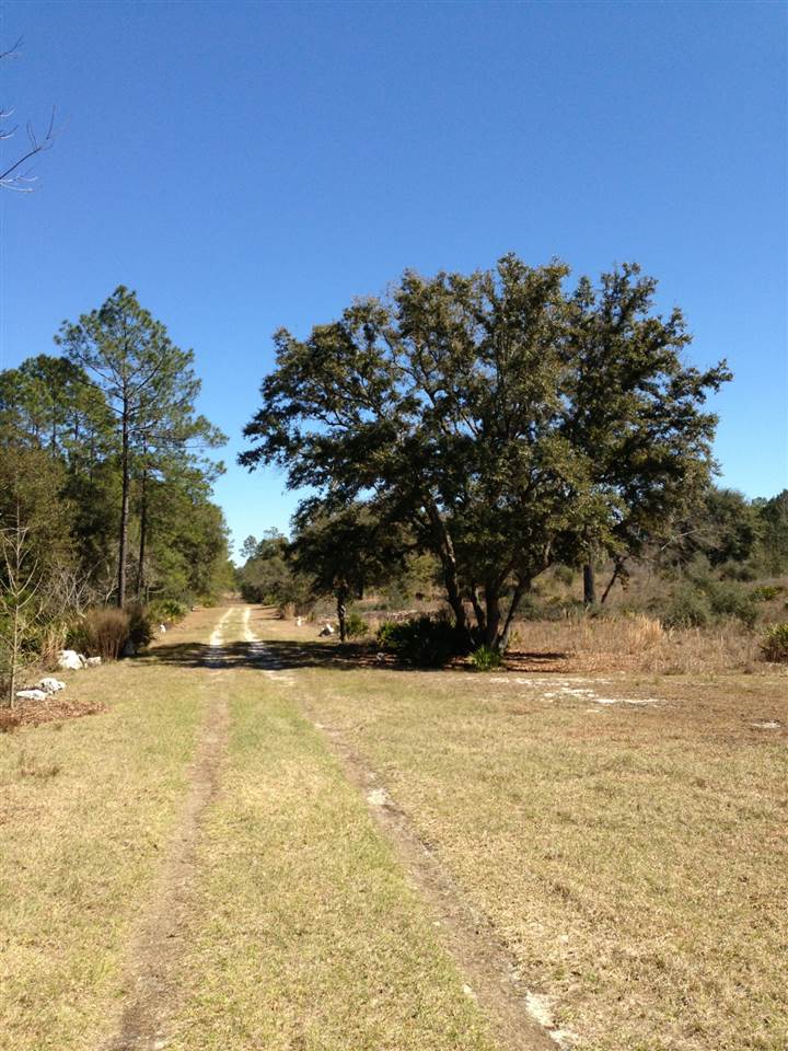 14339 Saddle Rope Trail, Tallahassee, FL 32305
