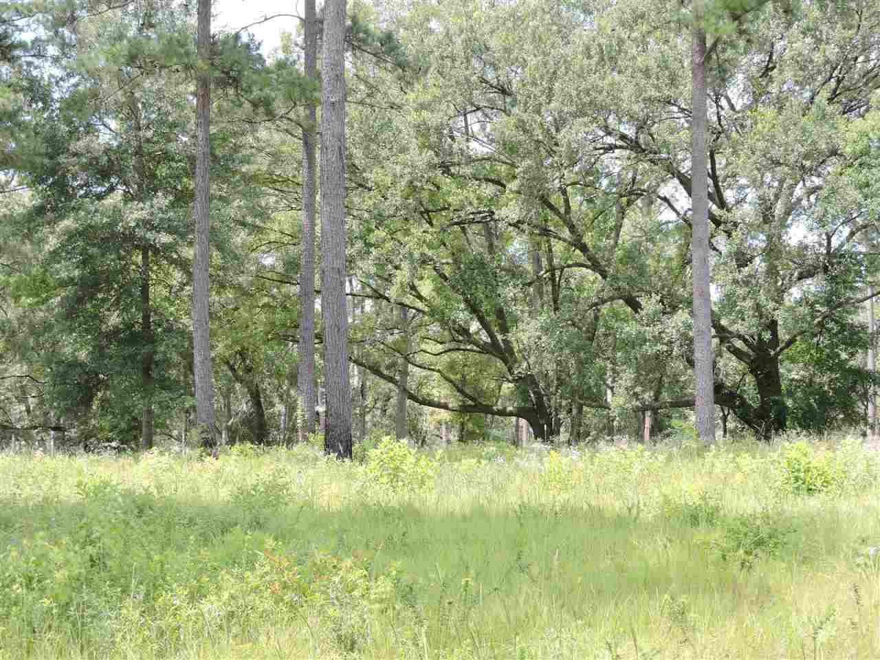 XXX Big Woods, Tallahassee, FL 32309