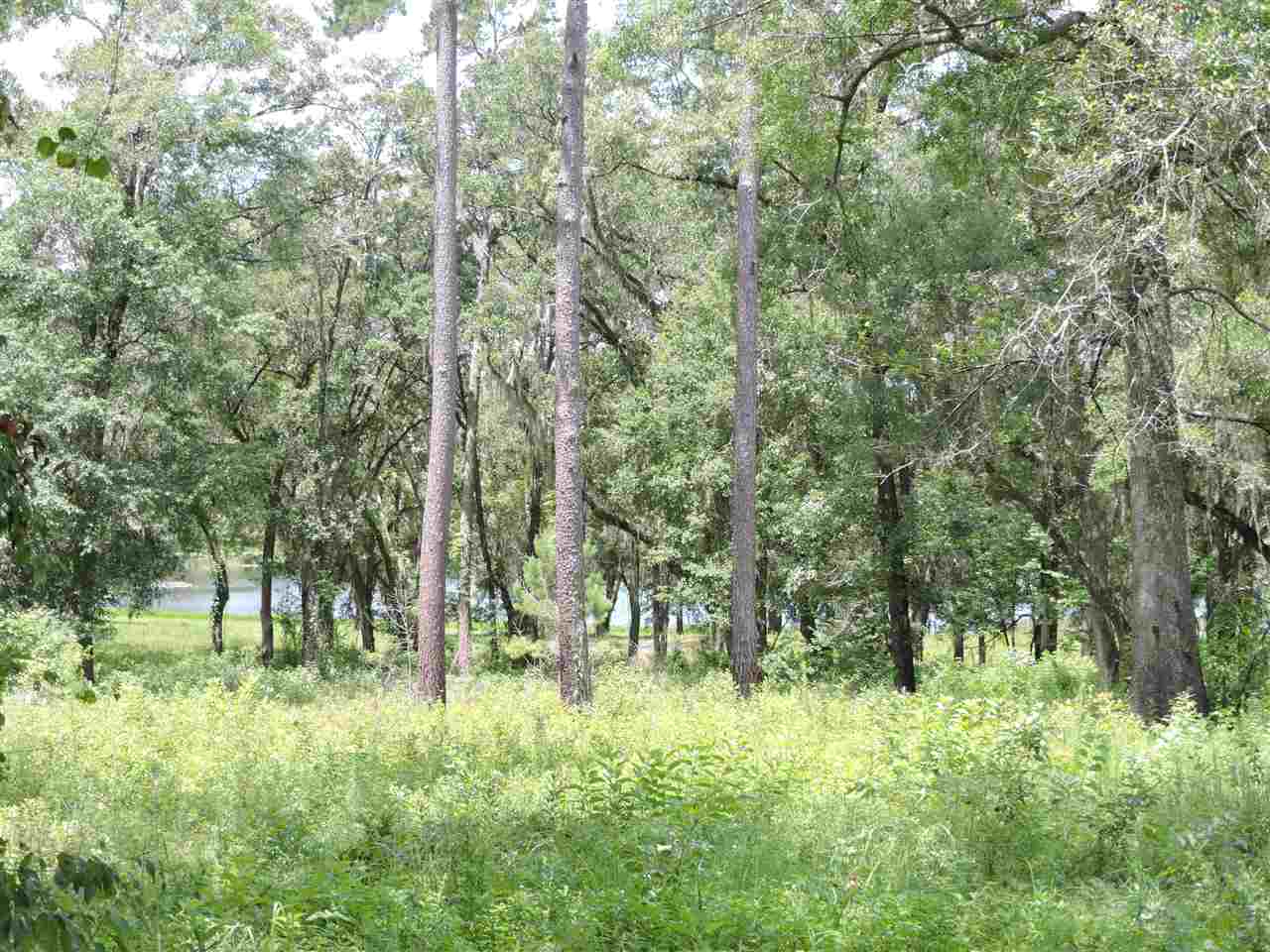 XXX Big Woods, Tallahassee, FL 32309