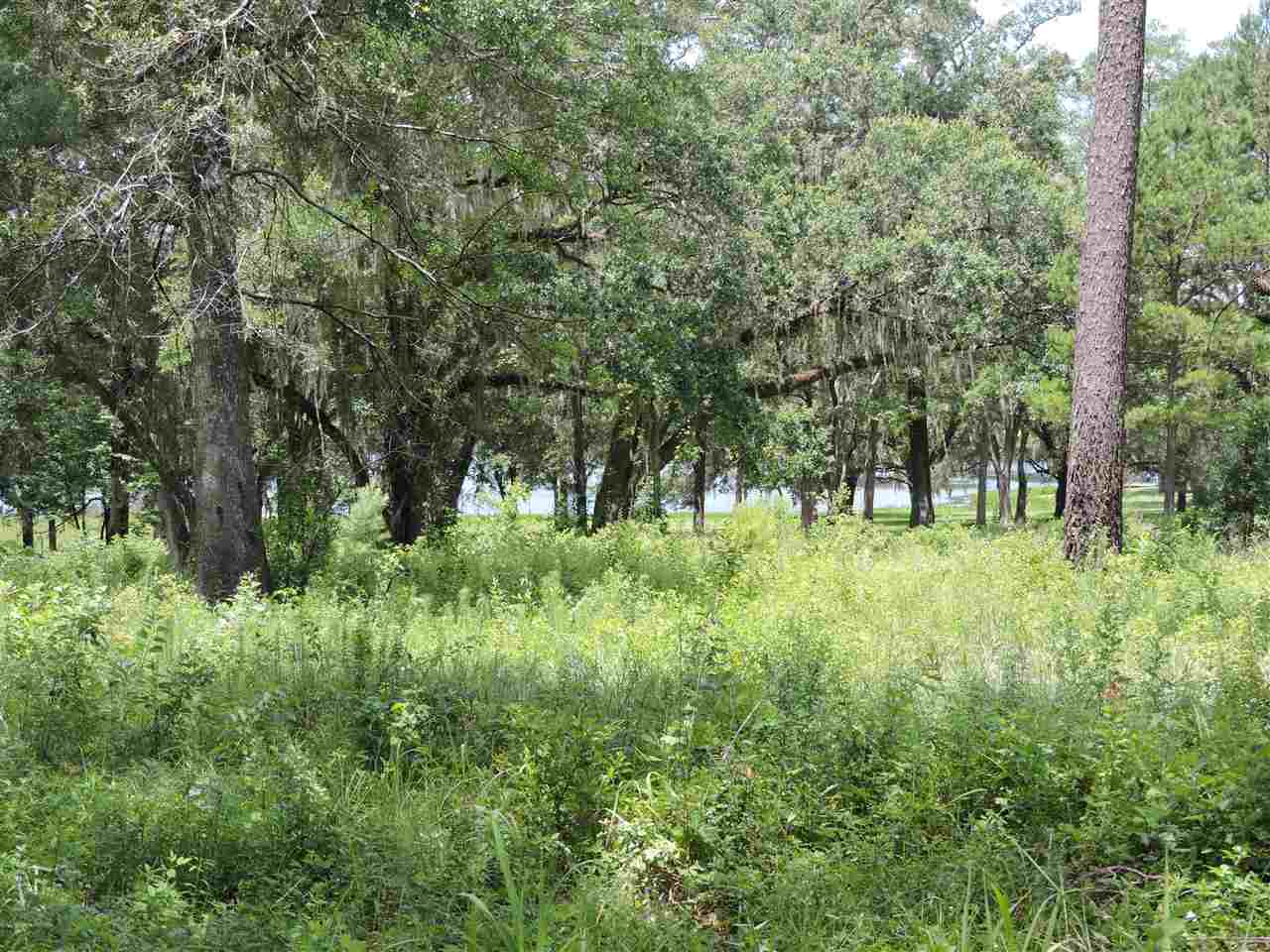 XXX Big Woods, Tallahassee, FL 32309