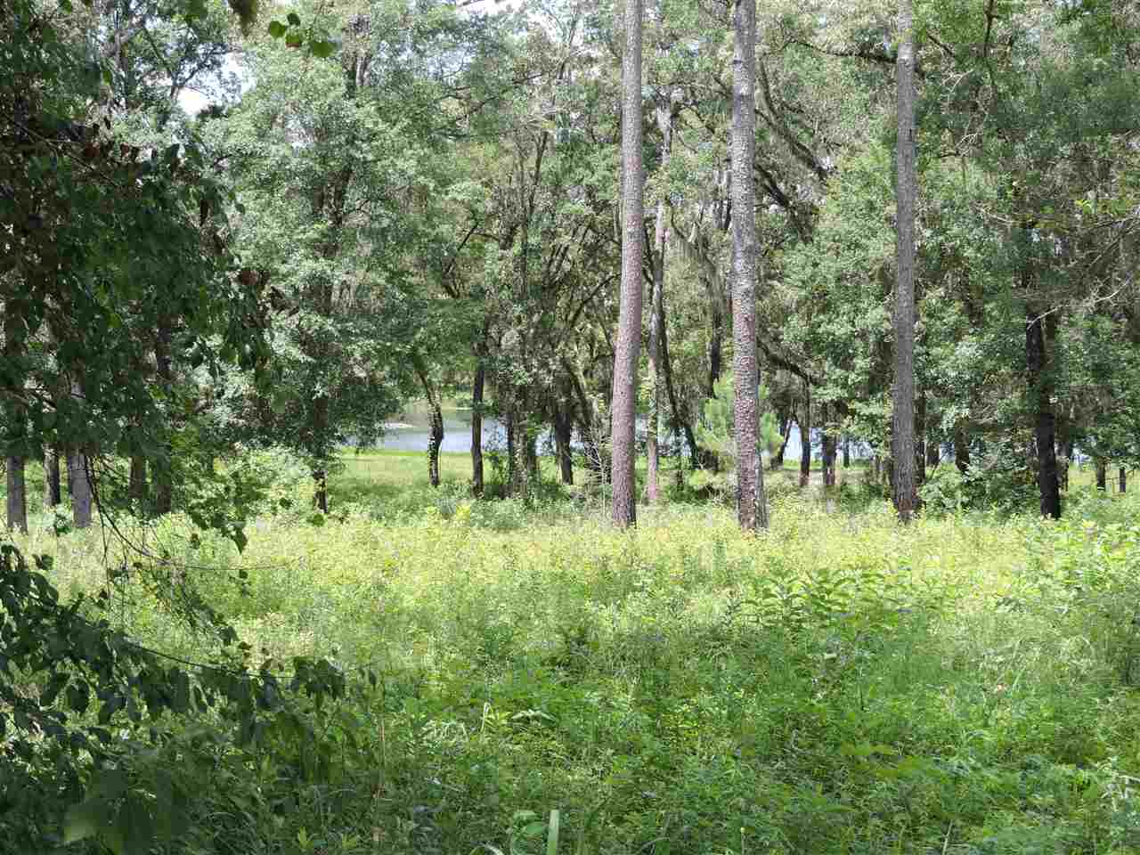 XXX Big Woods, Tallahassee, FL 32309