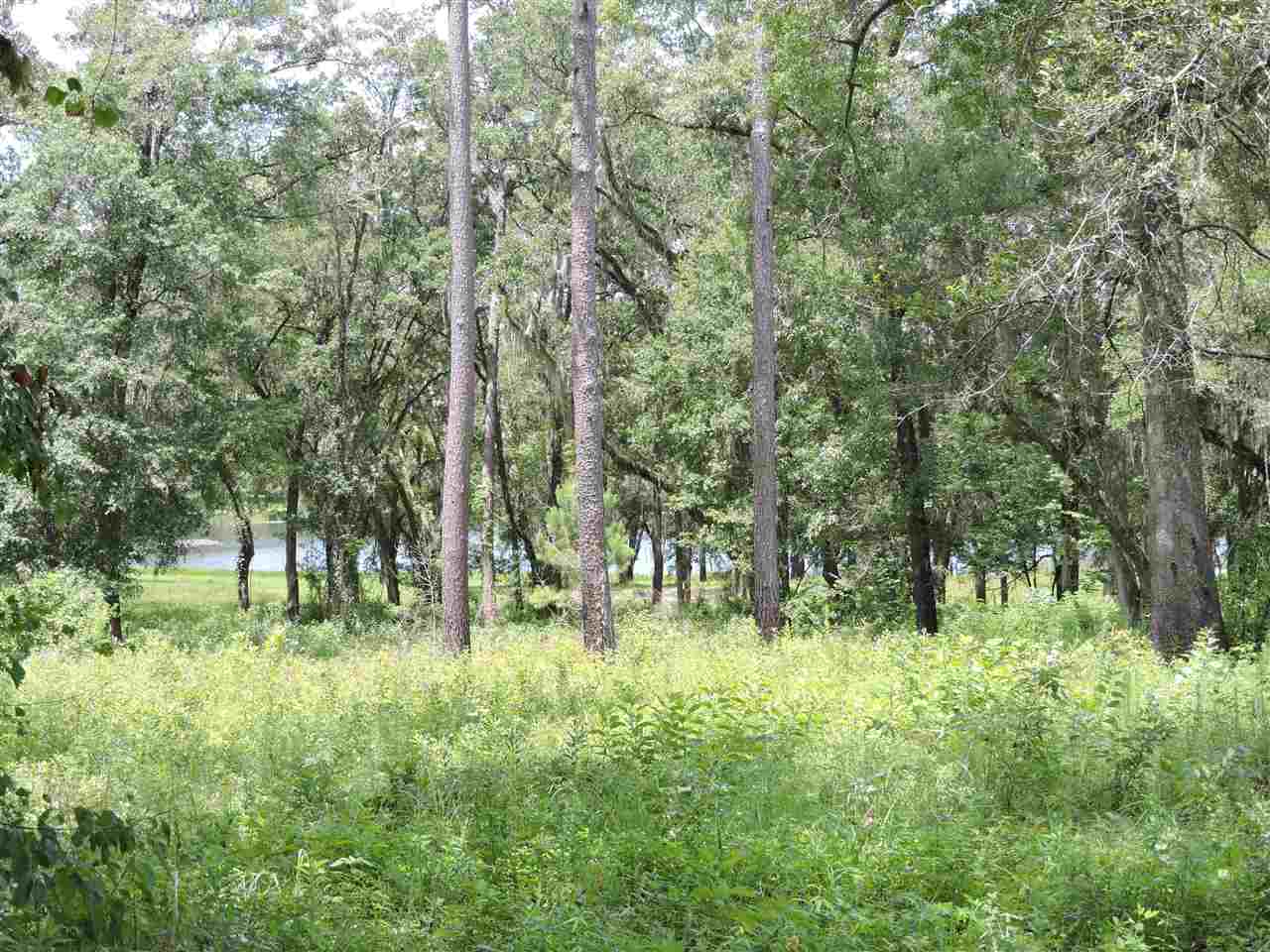 XXX Big Woods, Tallahassee, FL 32309