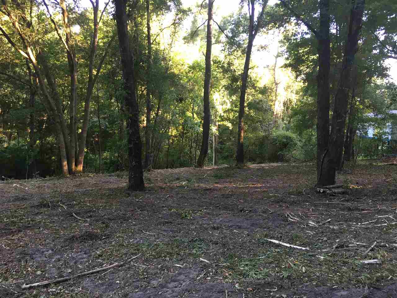 xx Talquin Cove Rd, Tallahassee, FL 32310