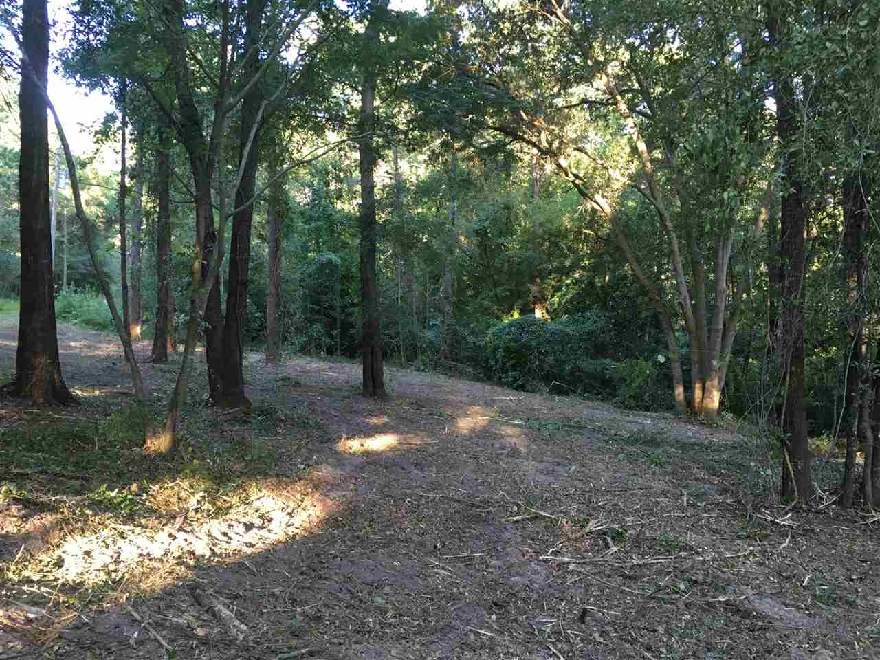 xx Talquin Cove Rd, Tallahassee, FL 32310
