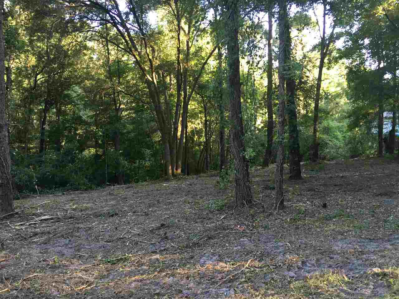xx Talquin Cove Rd, Tallahassee, FL 32310