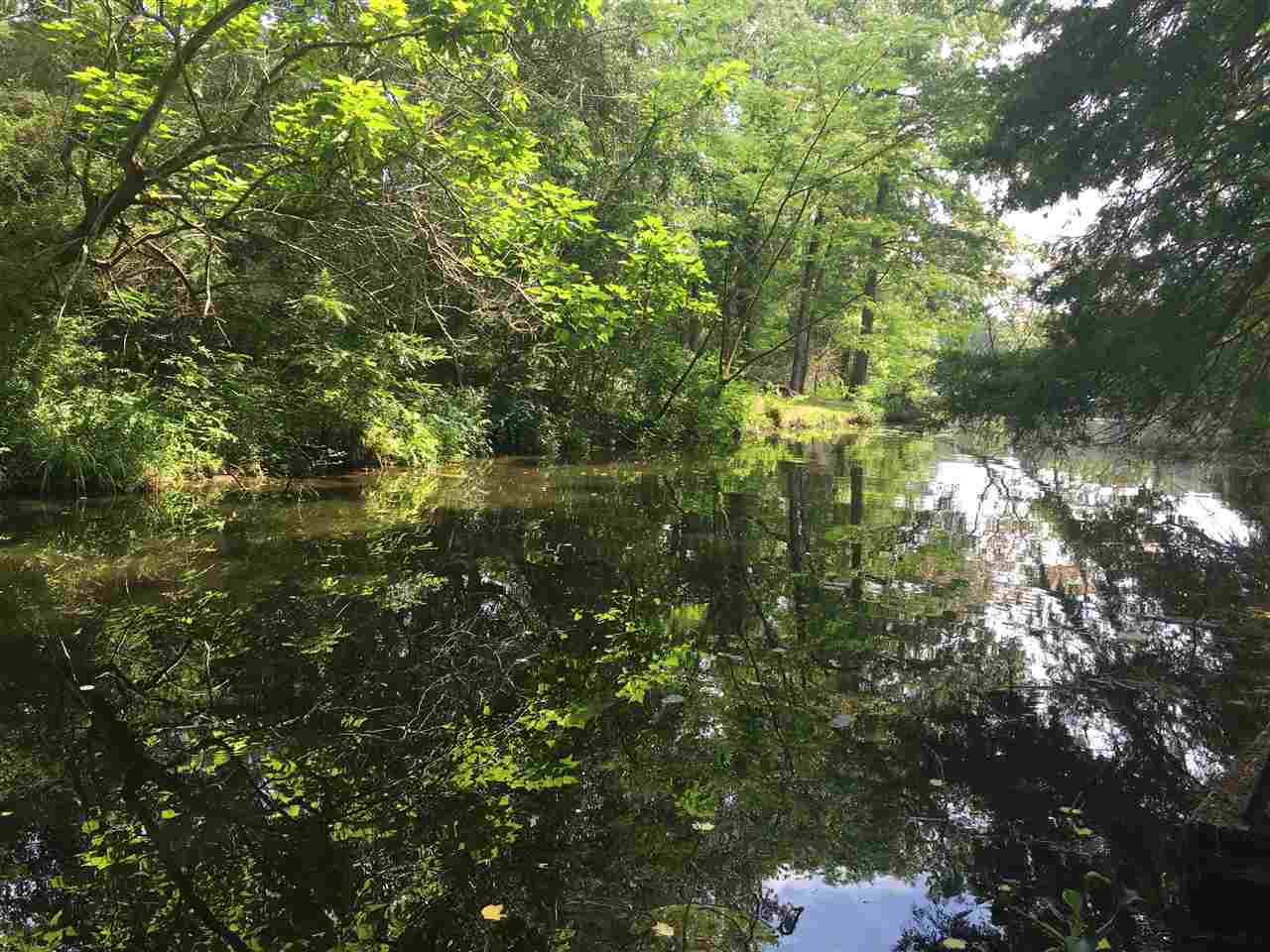 xx Talquin Cove Rd, Tallahassee, FL 32310
