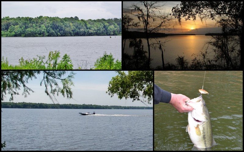 19843 Andy Colley, Tallahassee, FL 32310
