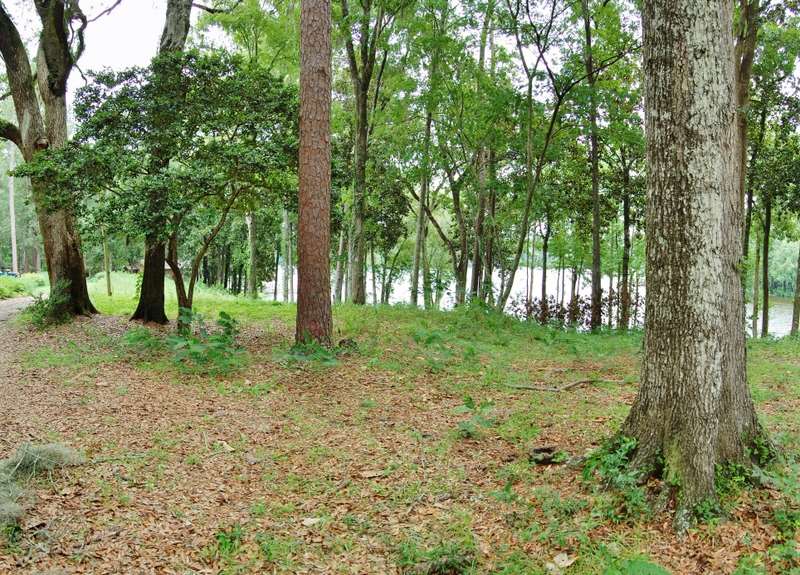 19843 Andy Colley, Tallahassee, FL 32310