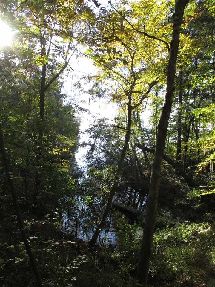 Parramore Shores Rd., Tallahassee, FL 32310