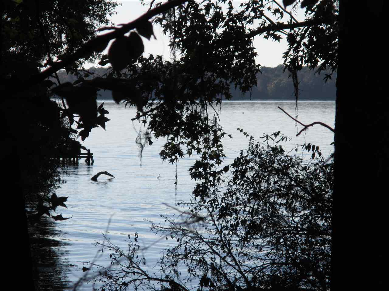 Parramore Shores Rd., Tallahassee, FL 32310