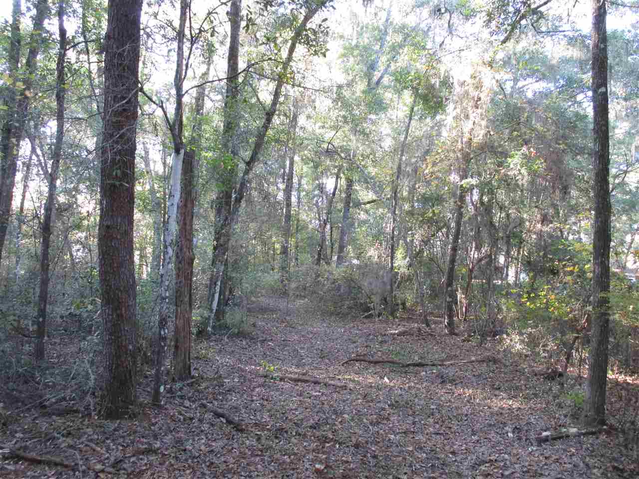 Parramore Shores Rd., Tallahassee, FL 32310