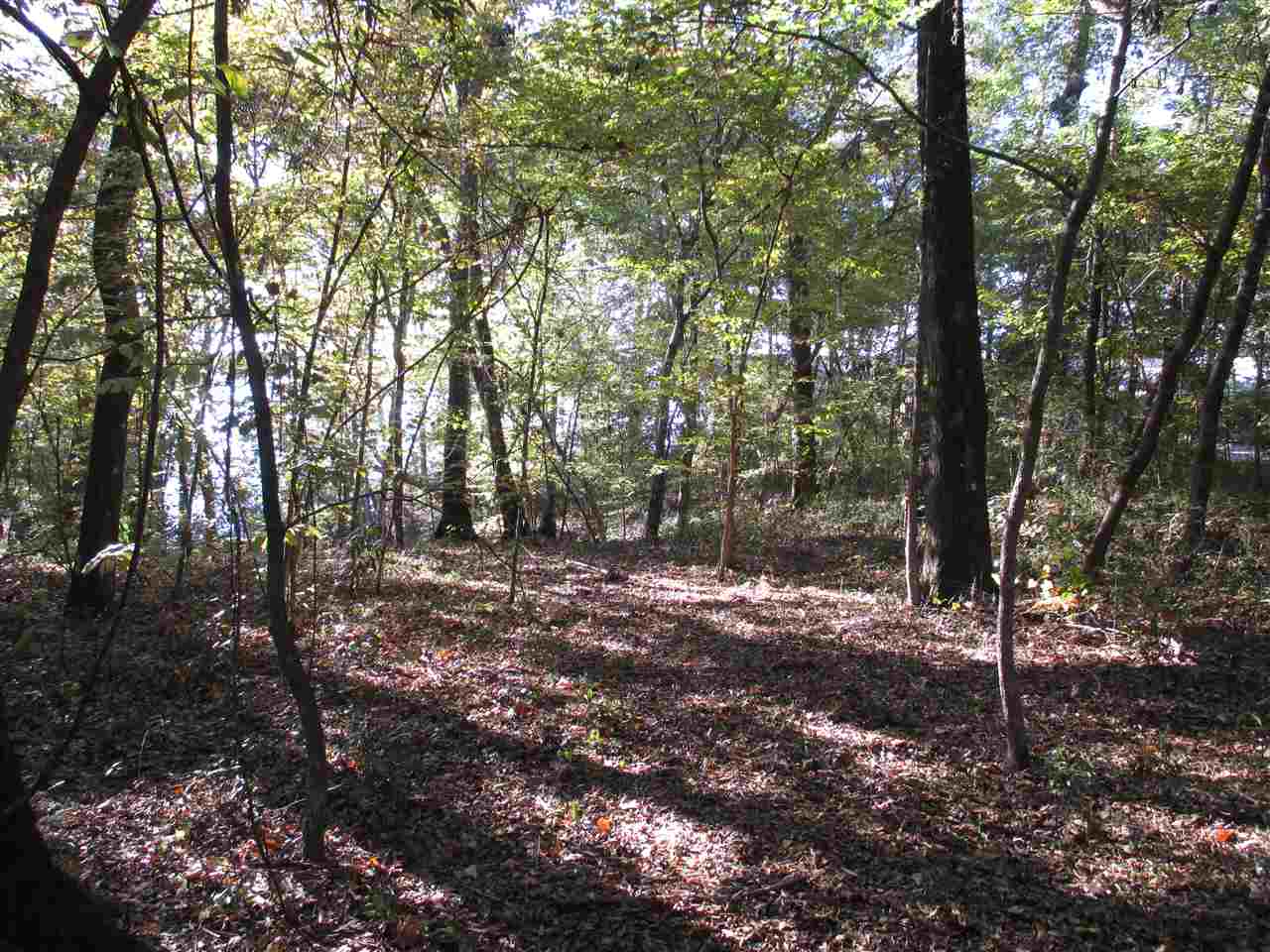 Parramore Shores Rd., Tallahassee, FL 32310