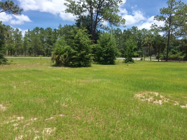 130 WHISPERING PINES DR, Tallahassee, FL 32310