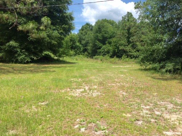 130 WHISPERING PINES DR, Tallahassee, FL 32310