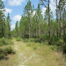 9315 Smith Creek Rd, Smith Creek, FL 32310