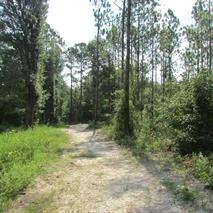 9315 Smith Creek Rd, Smith Creek, FL 32310