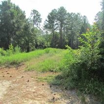 9315 Smith Creek Rd, Smith Creek, FL 32310