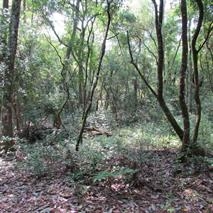 9315 Smith Creek Rd, Smith Creek, FL 32310