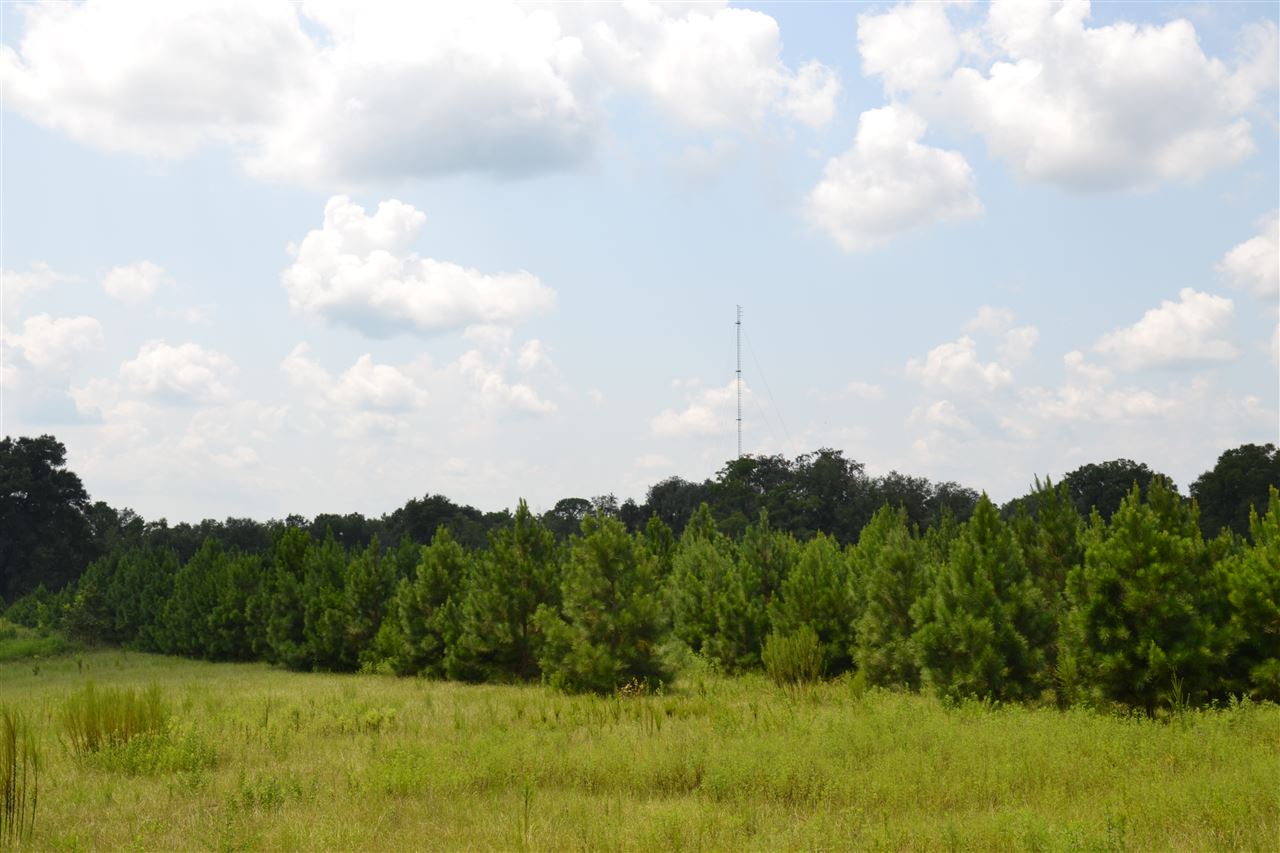 Lot 2 Fox Hollow Farms, Leon County, FL 32311