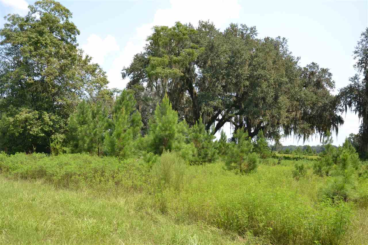 Lot 2 Fox Hollow Farms, Leon County, FL 32311