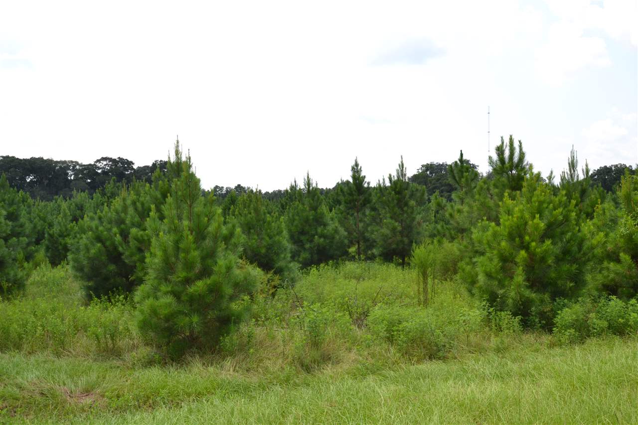 Lot 2 Fox Hollow Farms, Leon County, FL 32311