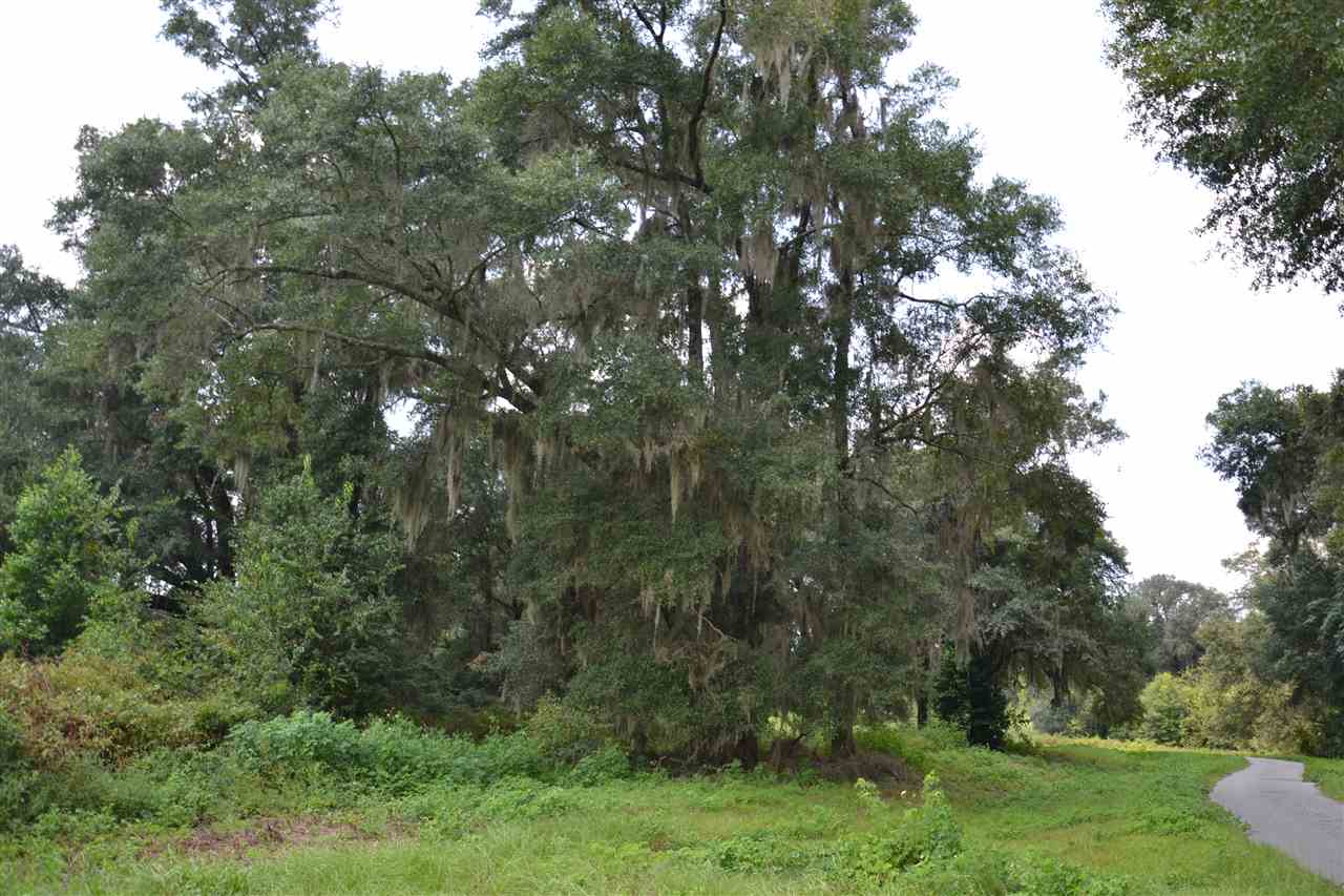 Lot 2 Fox Hollow Farms, Leon County, FL 32311