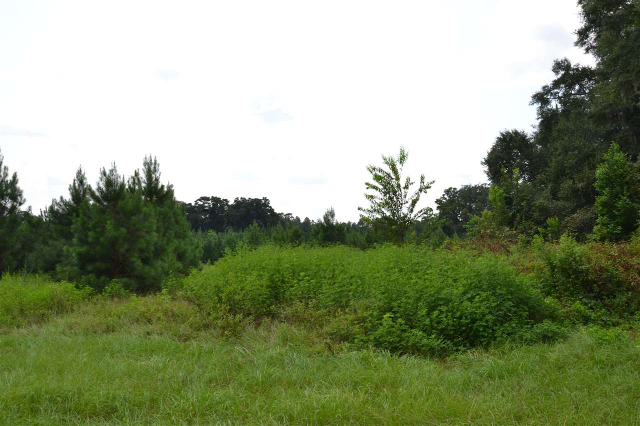 Lot 2 Fox Hollow Farms, Leon County, FL 32311