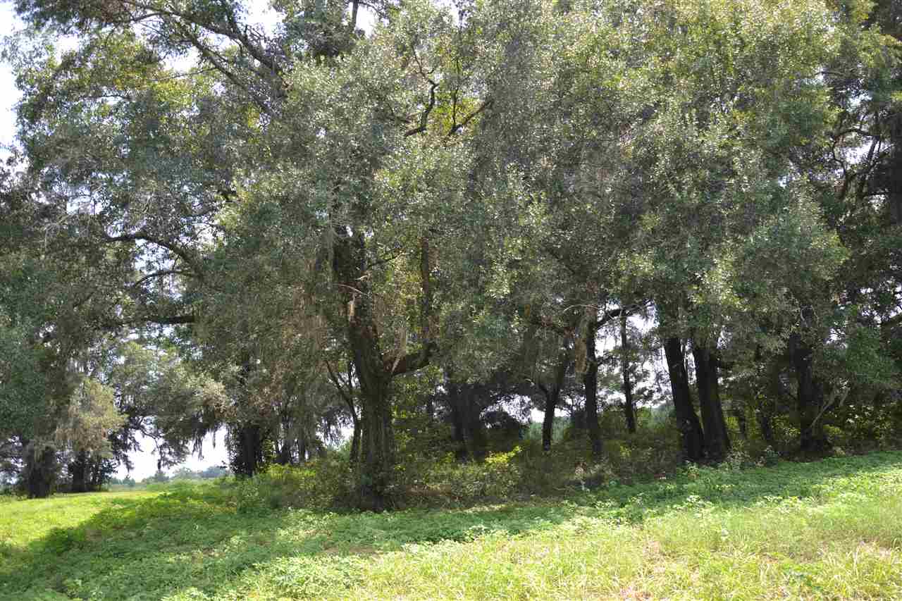 Lot 2 Fox Hollow Farms, Leon County, FL 32311
