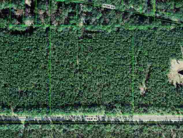 XXXX Tram Rd, Tallahassee, FL 32311