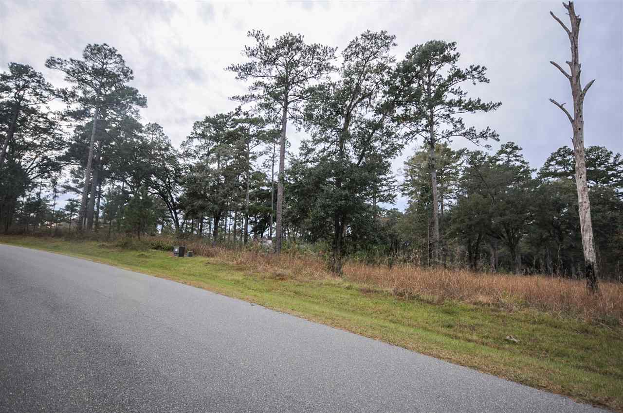 0 Quail Call, Tallahassee, FL 32312