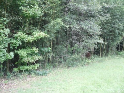2 A Shady Crest, Tallahassee, FL 32312