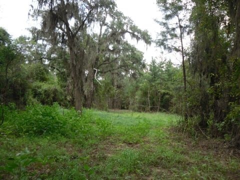 6 B Shady Crest, Tallahassee, FL 32312