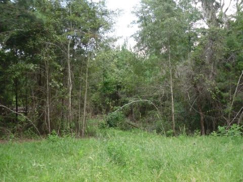 6 B Shady Crest, Tallahassee, FL 32312