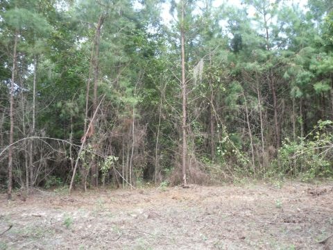 6 B Shady Crest, Tallahassee, FL 32312