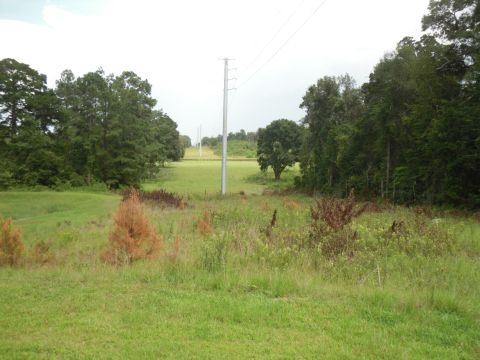6 B Shady Crest, Tallahassee, FL 32312