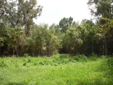 5 B Shady Crest, Tallahassee, FL 32312