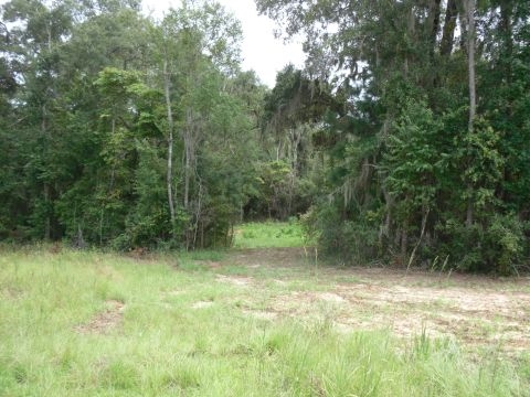 5 B Shady Crest, Tallahassee, FL 32312