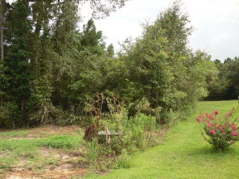 5 B Shady Crest, Tallahassee, FL 32312