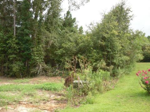 5 B Shady Crest, Tallahassee, FL 32312