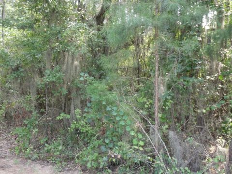 5 B Shady Crest, Tallahassee, FL 32312
