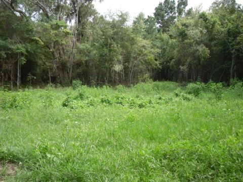 5 B Shady Crest, Tallahassee, FL 32312