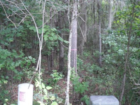 6 A Shady Crest Ln, Tallahassee, FL 32312