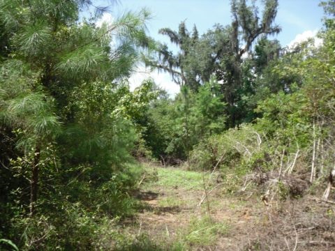 9 A Raspberry Way, Tallahassee, FL 32312