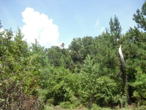 9 A Raspberry Way, Tallahassee, FL 32312